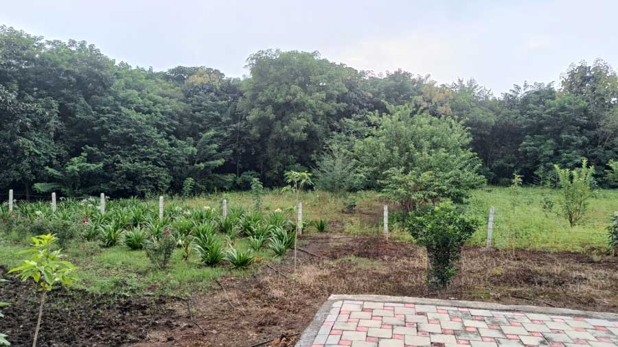 IMG20220923151802