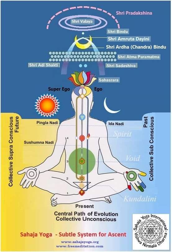 The 7 chakras and above____