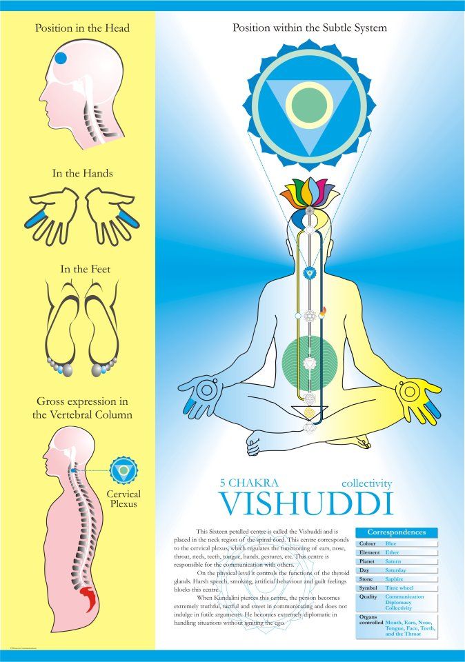 VISHUDHI