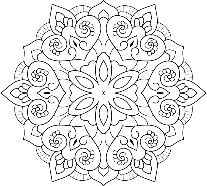wheel (1)